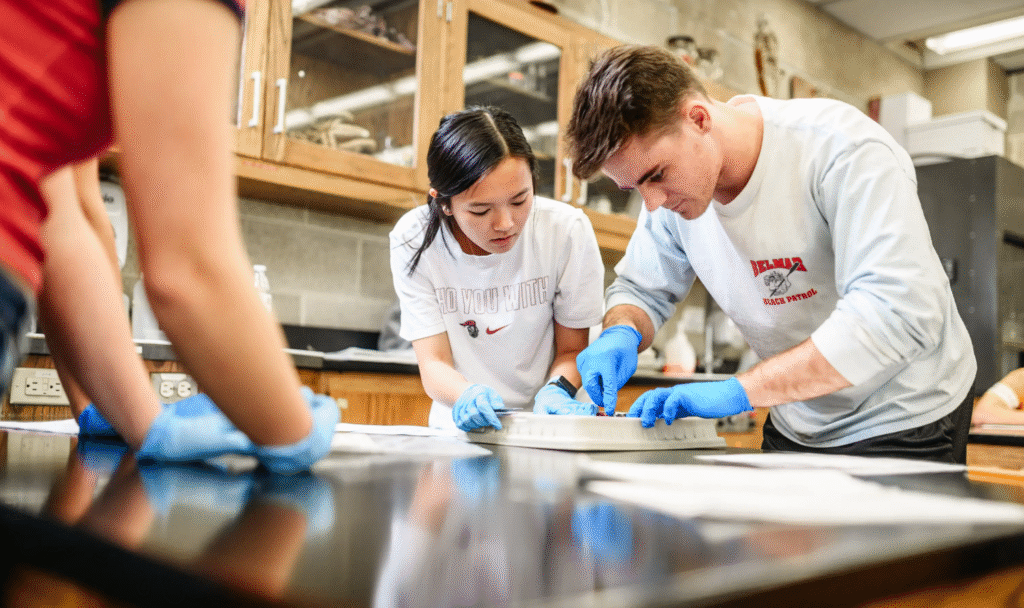 Advance Your STEM Career with NSF Scholarships